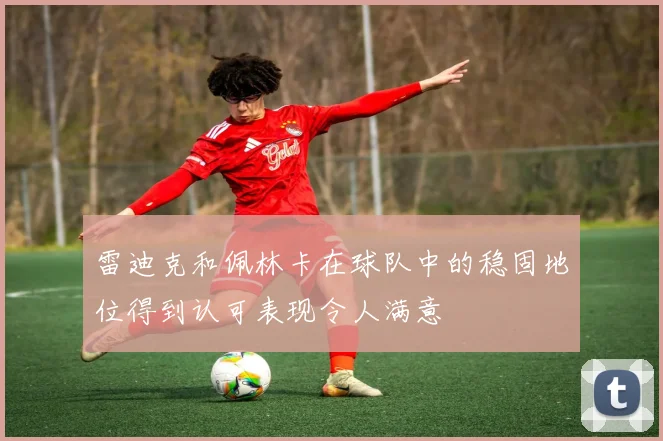 雷迪克和佩林卡在球队中的稳固地位得到认可表现令人满意