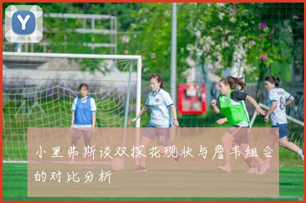 小里弗斯谈双探花现状与詹韦组合的对比分析